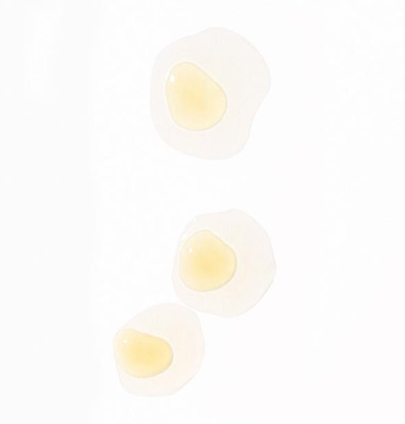 dermalogica facial oils and serums 40 ml phyto-nature firming serum